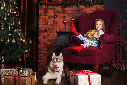 little girl and siberian husky dog playing with presents in christmas decorations - Husky Christmas Decoration little girl and siberian husky dog playing with presents in christmas decorations - Husky Christmas Decoration
