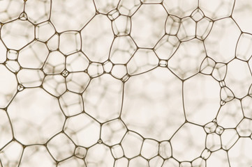 Nano web