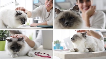 Sticker - Pet owner cuddling her beautiful cat lying down on a desk, pet care concept, video montage