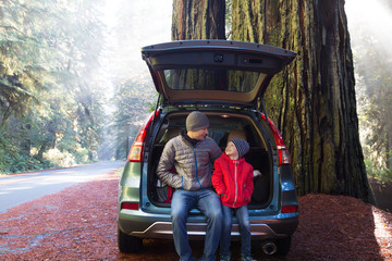 family in redwood forest