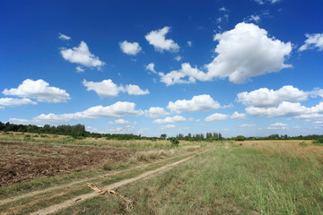 blue sky, blue sky and miracle cloud