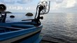 Piccola Barca da Pesca Blu di Legno in riva al Mare Calmo