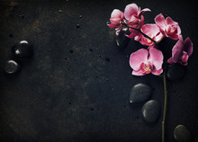 Spa Stones And Pink Orchid On The Dark Background