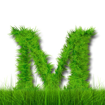 Conceptual green grass 3D font isoalted
