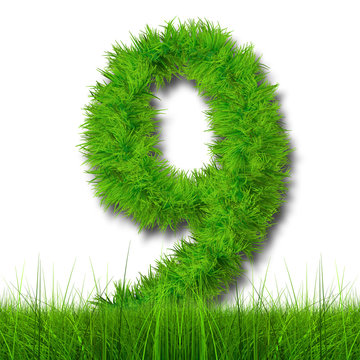 Conceptual green grass 3D font isoalted