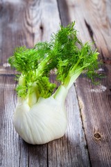 Wall Mural - Fresh organic fennel