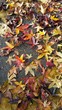 Tappeto di foglie colorate