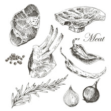 Vector Steak Meat Hand Drawing With Pepper And Rosemary. Detailed Ink Food Illustration