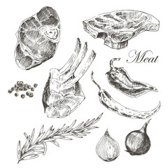 vector steak meat hand drawing with pepper and rosemary. detailed ink food illustration