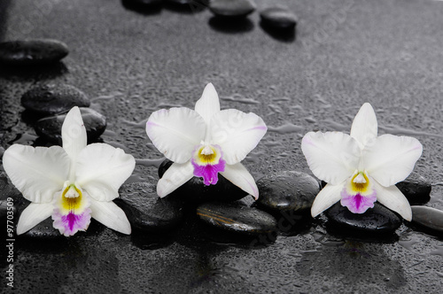 Fototapeta na wymiar Three white orchid flowers with therapy stones 