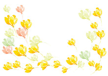 Yellow Crocus Flower Watercolor Brush Design  Background Or Border Card,vector Illustration