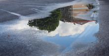 Reflection In A Puddle