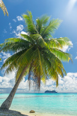 Wall Mural - Paradise view of Rangiroa atoll, French Polynesia