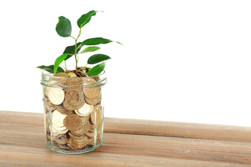 Poster - Plant growing in bowl of coins on a table isolated on white