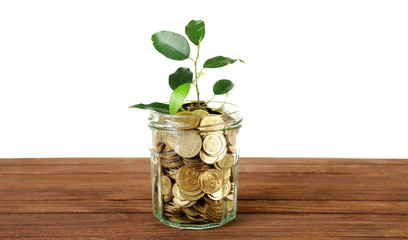 Poster - Plant growing in bowl of coins on a table isolated on white