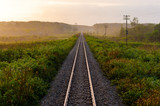 Fototapeta  - railway tracks in a rural scene