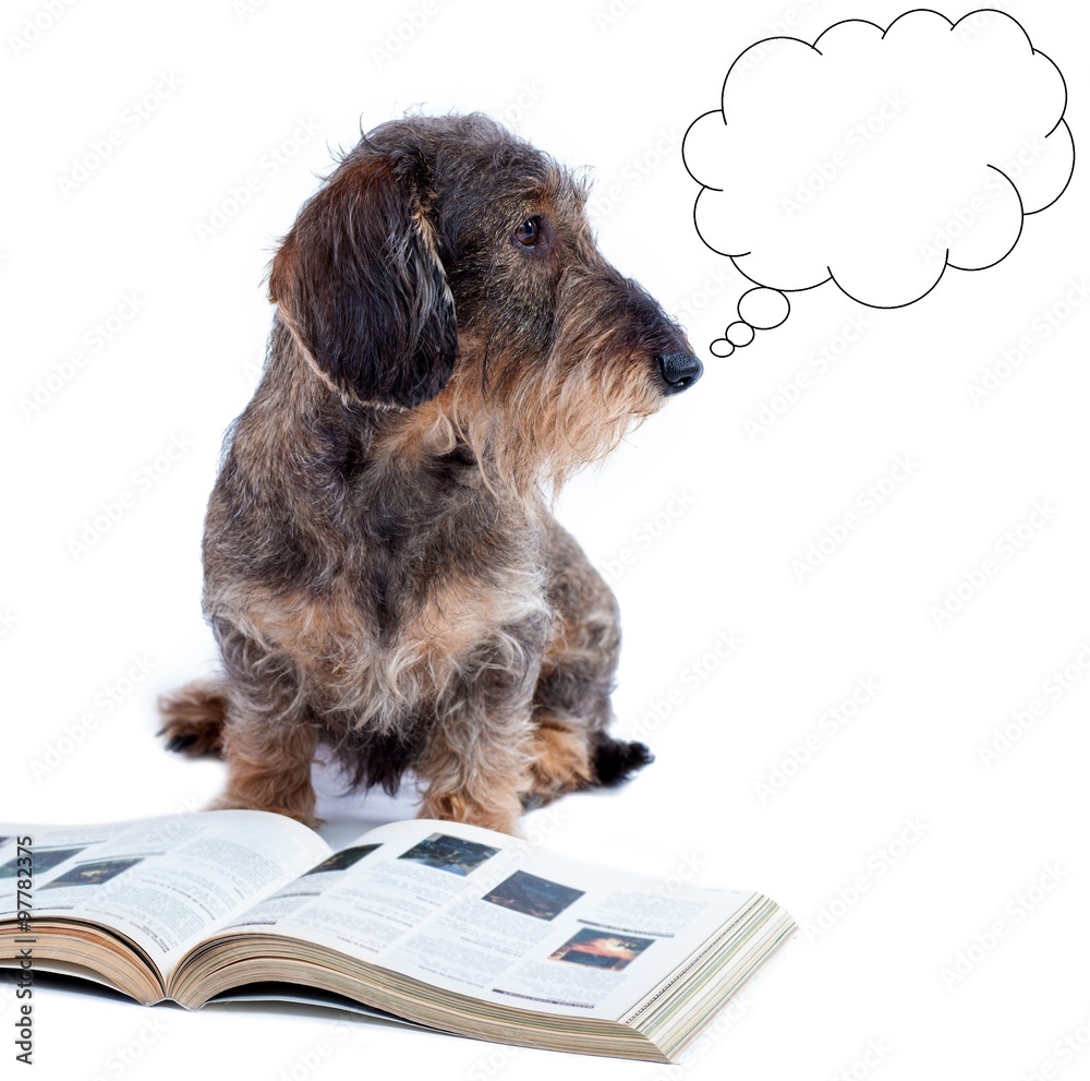 1 Paio Di Fermalibri Moderni In Metallo Resistente Antiscivolo Decorativo Fermalibri Per Ufficio (a Forma Di Violino) | Leroy Merlin