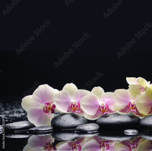 Fototapeta na wymiar Set of white orchid with therapy stones 