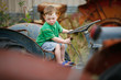 Little boy on a tractor