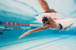 canvas print picture - Professional man swimmer inside swimming pool.