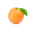 Fresh orange fruit with leaf on white