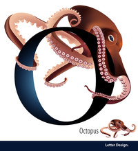 Vector Illustration Of Letter O Is Octopus Alphabet. English Abc