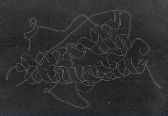 Wall Mural - Human growth hormone (hGH, Somatotropin) molecule.