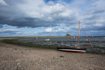 Wall Mural - Lindisfarne Castle Starlight