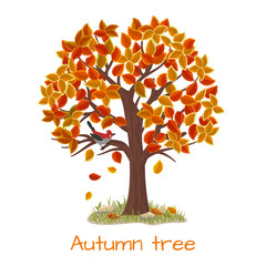 Wall Mural - Autumn tree vector