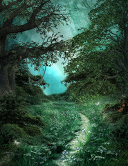 Wall Mural - Pathway in the green magic forest