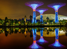 Singapore - Nov 13: Amazing View Of Futuristic  Illumination At
