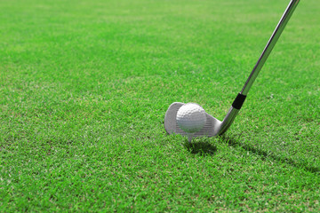 Wall Mural - Golf club and ball on a green grass