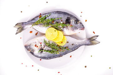 Fresh raw gilthead fishes with lemon, herbs, salt on plate, white background. Healthy food concept. Food frame