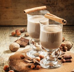 Wall Mural - Hot cocoa with cinnamon, chocolate and nuts, selective focus