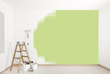 Fototapeta  - grüne Wand streichen