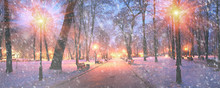 Mariinsky Garden During Inclement Weather