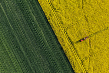 Wall Mural - aerial view of harvest fields with tractor