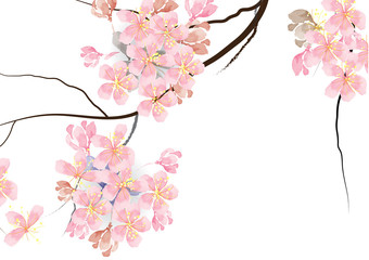 Plakat orientalne kwitnący drzewa kwiat