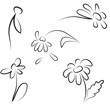 Hand contour simple drawing of daisies