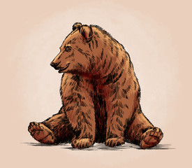 Wall Mural - color engrave isolated grizzly bear