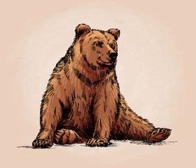 color engrave isolated grizzly bear
