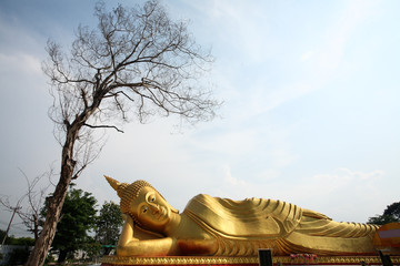 Wall Mural - sleeping buddha statue agaist blue sky