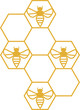 Pszczoły, plaster miodu