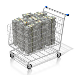 Money in shopping cart