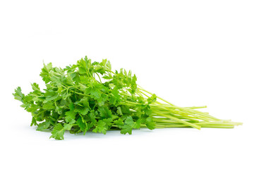 Wall Mural - fresh parsley