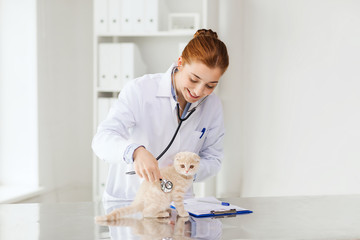 Wall Mural - happy veterinarian with kitten at vet clinic