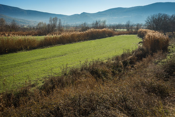 Early morning in the mountains, field and fog