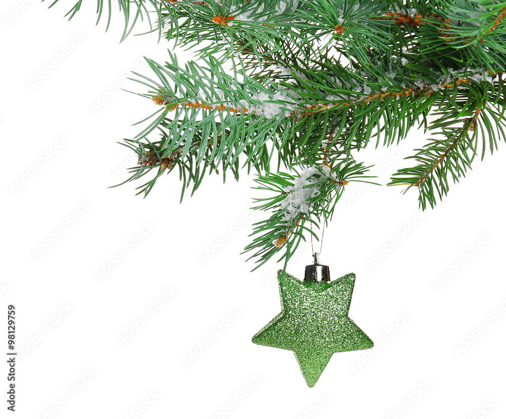 Christmas toy on a fir branch, isolated on white