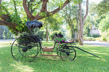 Vintage carriage on a green lawn