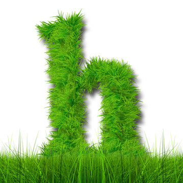 Conceptual green grass 3D font isoalted